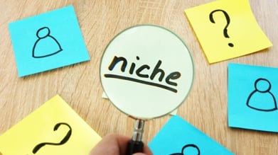 Choose a business niche